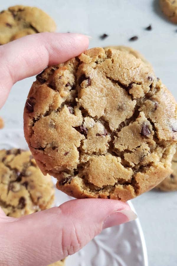 Close up of a peanut butter chocolate chip cookie.