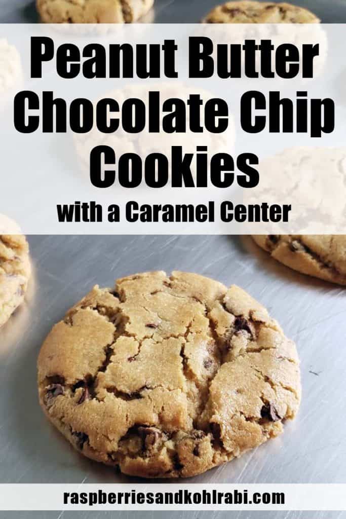 peanut butter chocolate chip cookies pinterest image